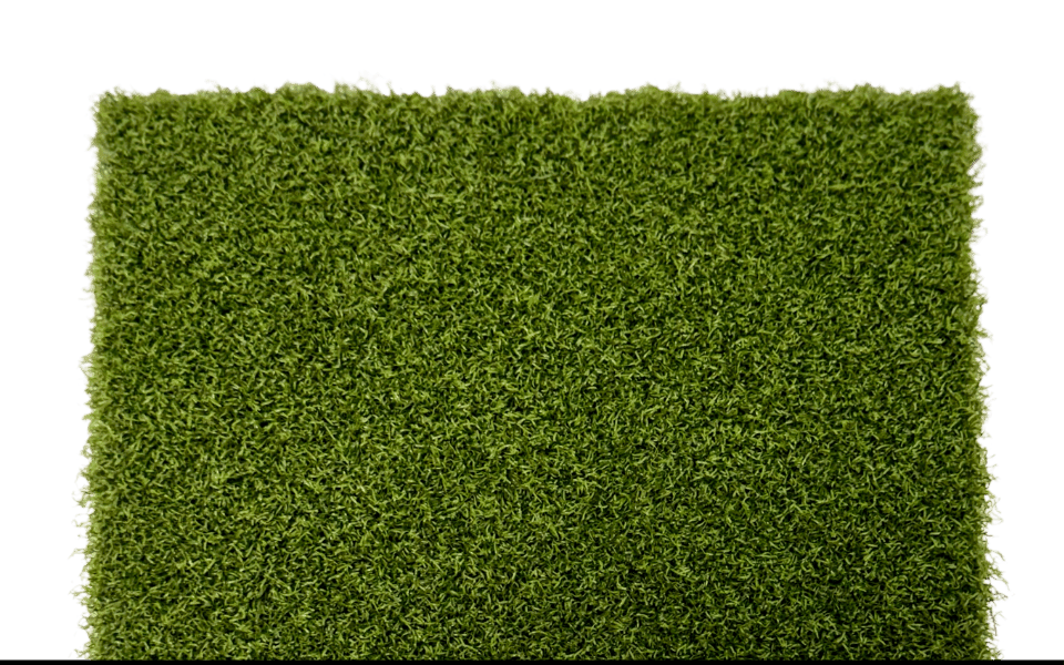 Sunshine Turf 17th Green