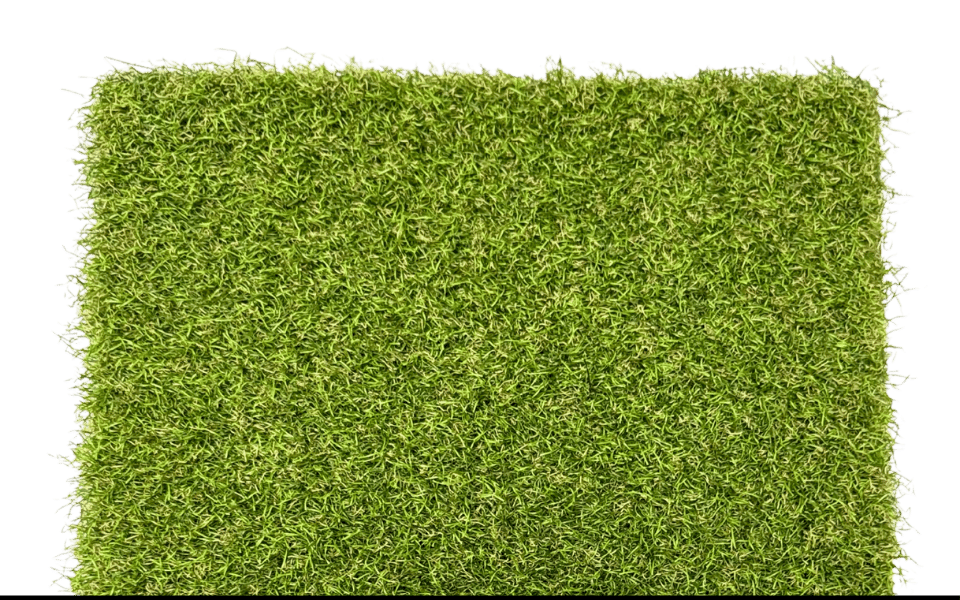 Sunshine Turf Eco-Natural