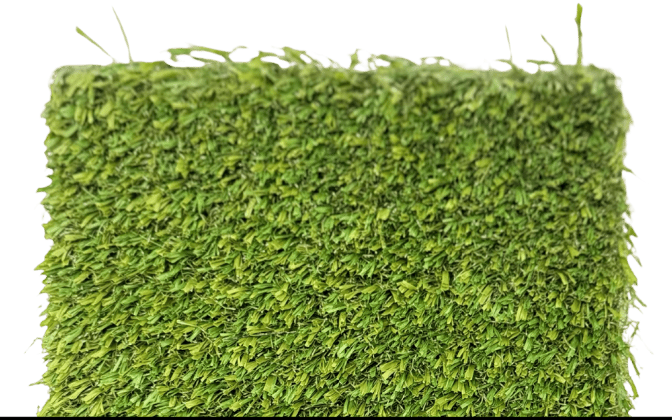 Sunshine Turf Fortis