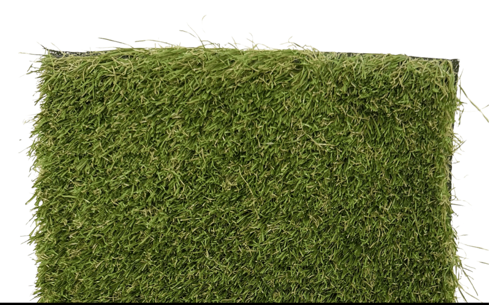 Sunshine Turf Rye