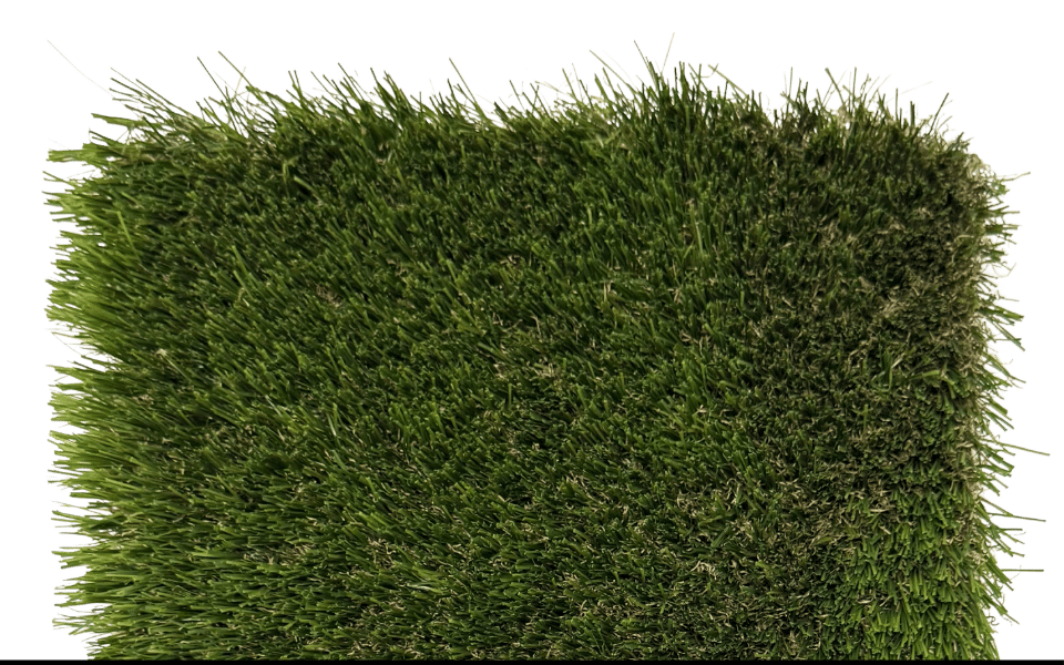 Sunshine Turf Zoysia